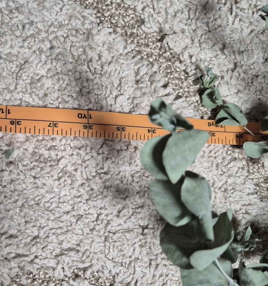 BIG BERTHA 36" Eucalyptus Besom Broom - Picture 7 of 7